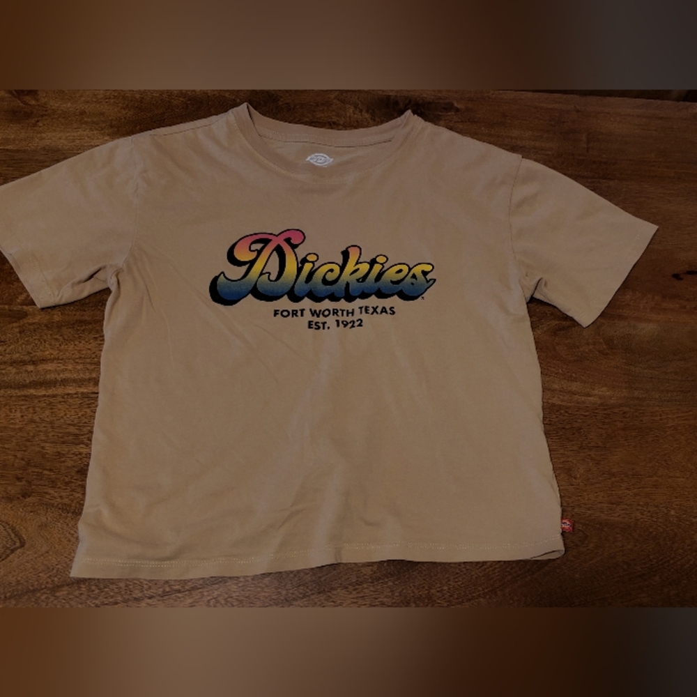 Dickies clay retro style oversized tee, NWOT, Never worn